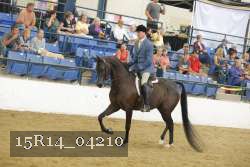 15R14_04210 thumbnail