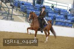 15R14_04428 thumbnail