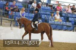 15R14_04551 thumbnail