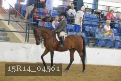 15R14_04561 thumbnail