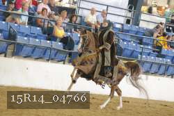 15R14_04766 thumbnail