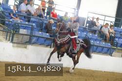 15R14_04820 thumbnail