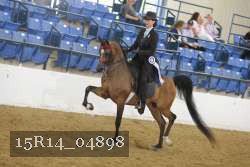 15R14_04898 thumbnail