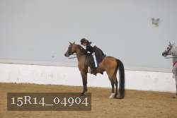 15R14_04904 thumbnail