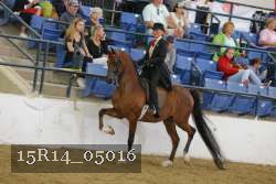 15R14_05016 thumbnail