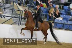 15R14_05017 thumbnail
