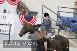 15R14_05231 thumbnail