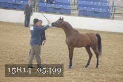 15R14_05499 thumbnail