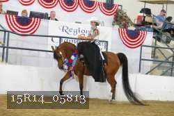 15R14_05813 thumbnail