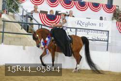 15R14_05814 thumbnail