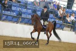 15R14_06074 thumbnail
