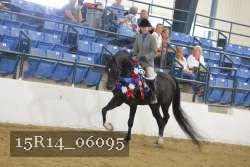 15R14_06095 thumbnail