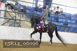 15R14_06096 thumbnail