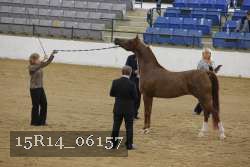 15R14_06157 thumbnail