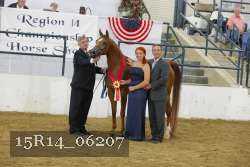 15R14_06207 thumbnail
