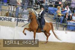 15R14_06258 thumbnail