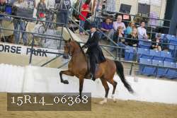 15R14_06368 thumbnail