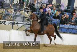 15R14_06482 thumbnail