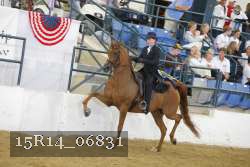 15R14_06831 thumbnail