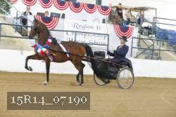 15R14_07190 thumbnail