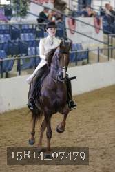 15R14_07479 thumbnail