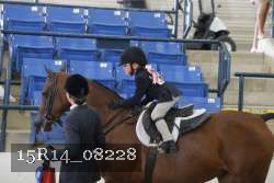 15R14_08228 thumbnail