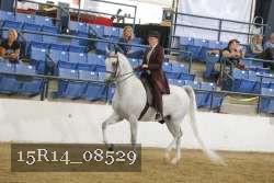 15R14_08529 thumbnail