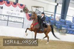 15R14_08595 thumbnail