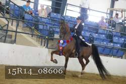 15R14_08606 thumbnail