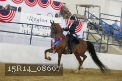 15R14_08607 thumbnail