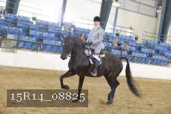 15R14_08825 thumbnail