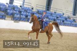 15R14_09143 thumbnail