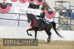 15R14_09165 thumbnail