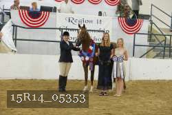 15R14_05353 thumbnail
