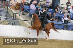 15R14_06868 thumbnail
