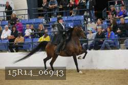 15R14_06943 thumbnail