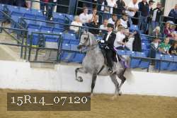 15R14_07120 thumbnail