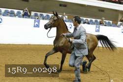 15R9_00298 thumbnail