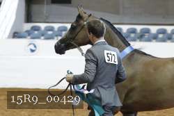 15R9_00429 thumbnail