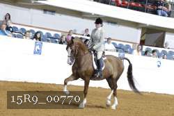 15R9_00770 thumbnail