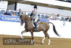 15R9_00771 thumbnail