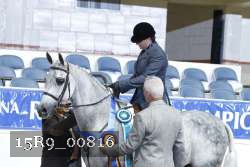 15R9_00816 thumbnail