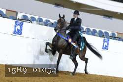 15R9_01054 thumbnail