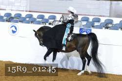 15R9_01245 thumbnail