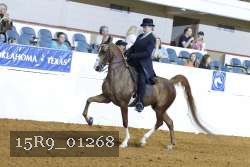 15R9_01268 thumbnail