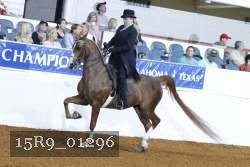 15R9_01296 thumbnail