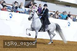 15R9_01302 thumbnail