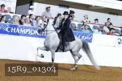 15R9_01304 thumbnail