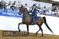 15R9_01311 thumbnail