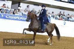 15R9_01314 thumbnail